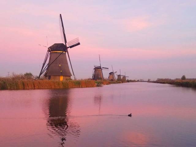 c0ef56fa-309b-4854-bb7c-627249fd4bbf