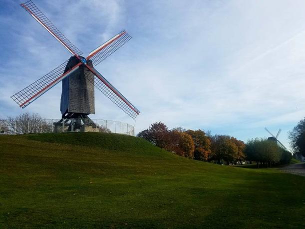 d310ca63-9f67-4499-a7a2-df7b84edb3a0