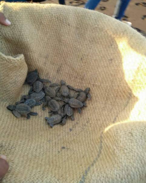 d93a8c23-d189-4e8e-82fe-e3702a5e8eb4